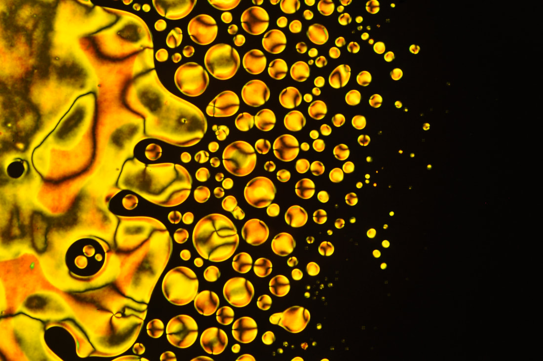 nematic droplets viewed by polarized optical microscopy