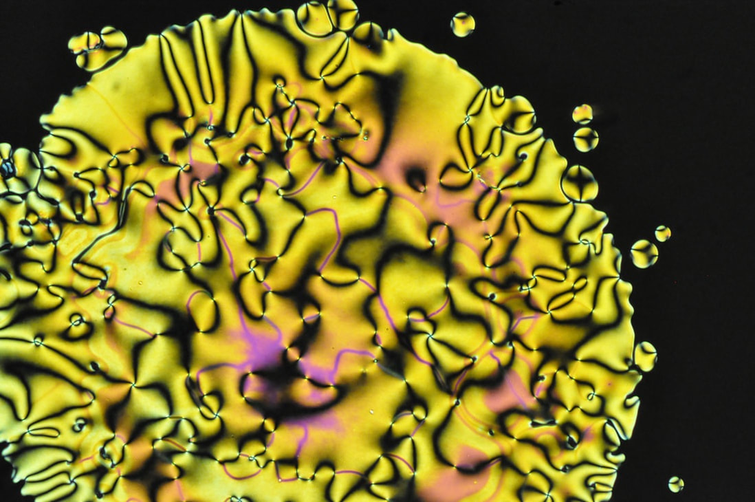 nematic liquid crystal viewed by polarized optical microscopy